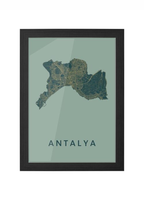 Antalya Amazon Ingelijst in Zwart lijst Kopen | Kunst in Kaart