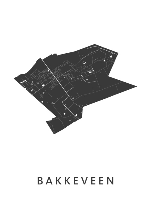 Bakkeveen Stadskaart Poster Kopen