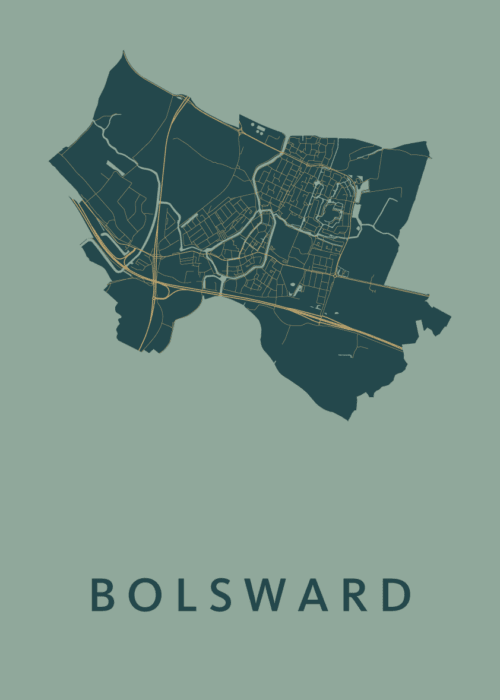 Bolsward Amazon Stadskaart Poster Kopen