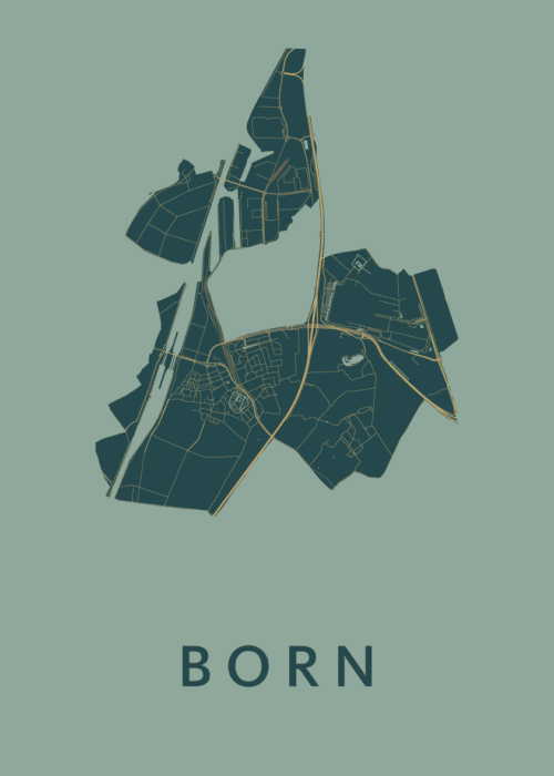Born Amazon Stadskaart Poster Kopen