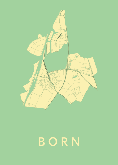 Born Spring Stadskaart Poster Kopen