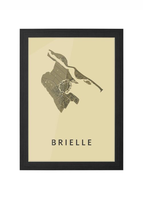 Brielle GoldenRod Ingelijst in Zwart lijst Kopen | Kunst in Kaart