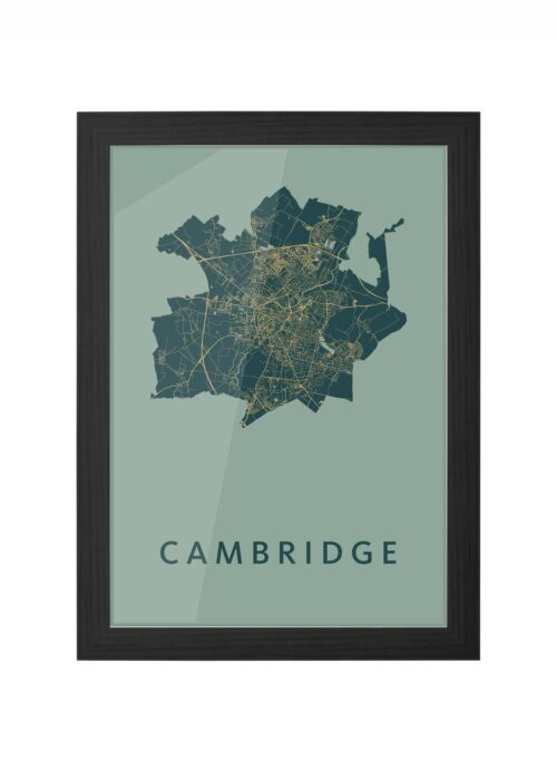 Cambridge Amazon Ingelijst in Zwart lijst Kopen | Kunst in Kaart