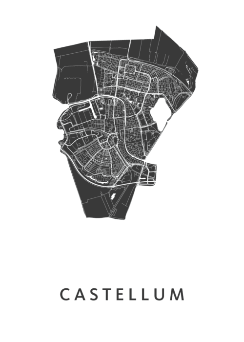 Castellum Carnaval Stadskaart Poster Kopen