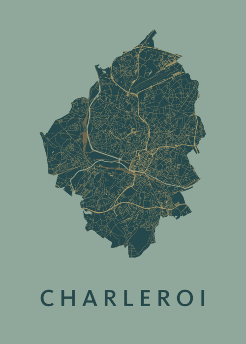 Charleroi Amazon Stadskaart Poster Kopen