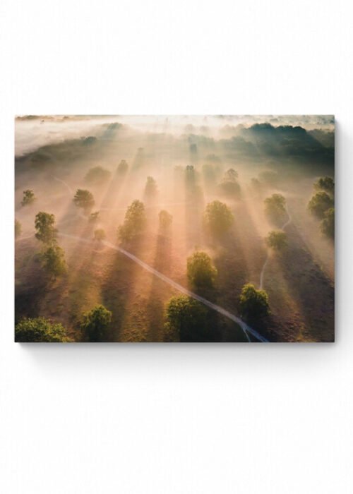 Zonsopkomst - Westerheide — Fotografie Poster