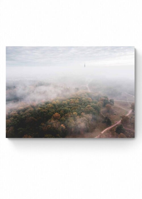 Westerheide in de mist — Fotografie Poster