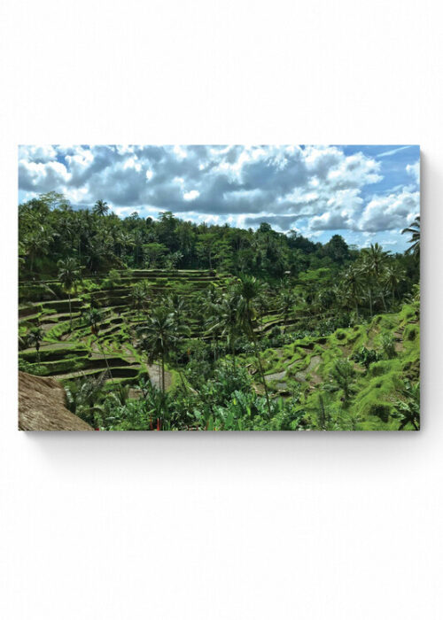 De rijstvelden van Ubud — Fotografie Poster