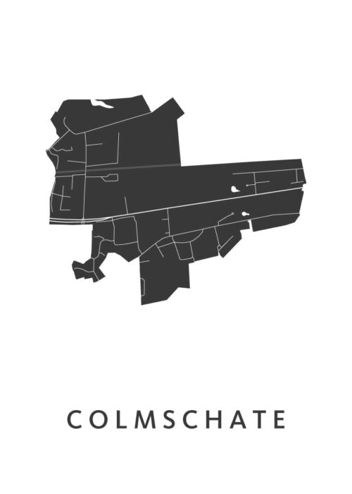 Colmschate Stadskaart Poster Kopen
