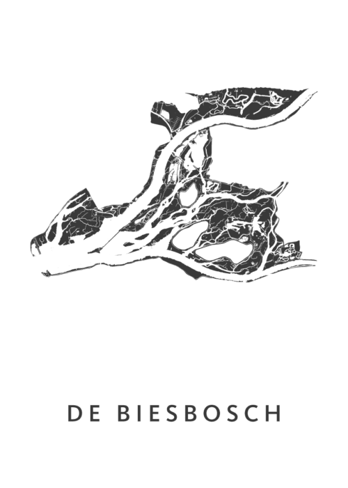 De Biesbosch Regiokaart Poster