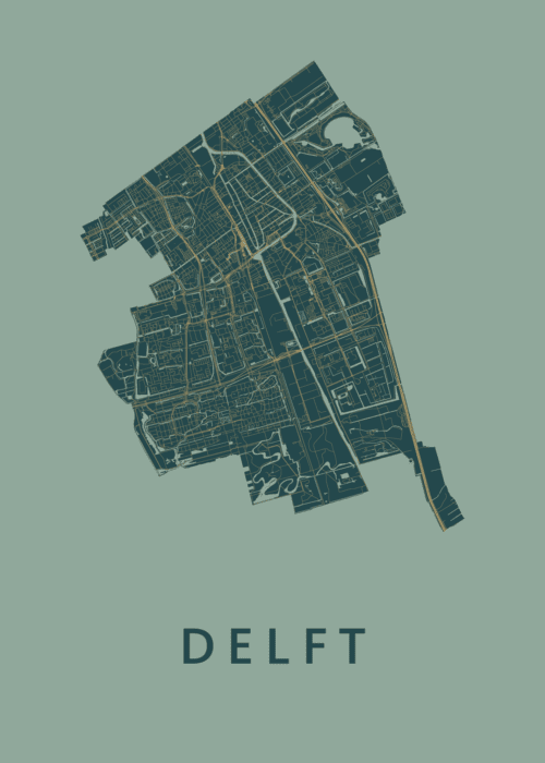 Delft Stadskaart poster Amazon