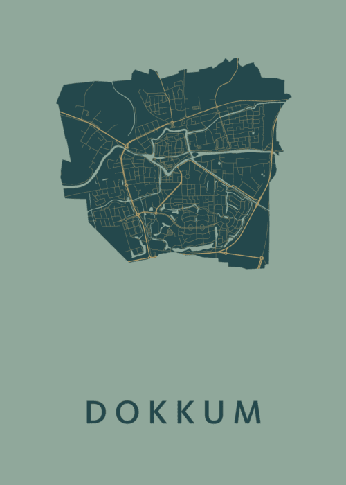 Dokkum Amazon Stadskaart Poster Kopen