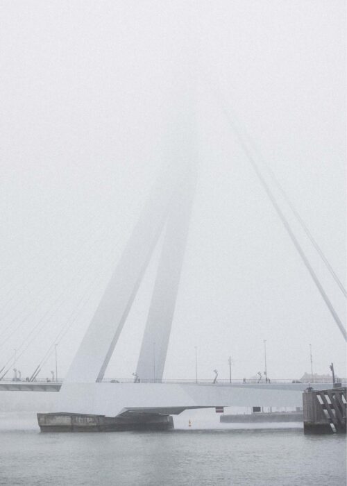 De Erasmusbrug in de mist - II Poster