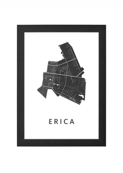Erica Ingelijst in Zwart lijst Kopen | Kunst in Kaart