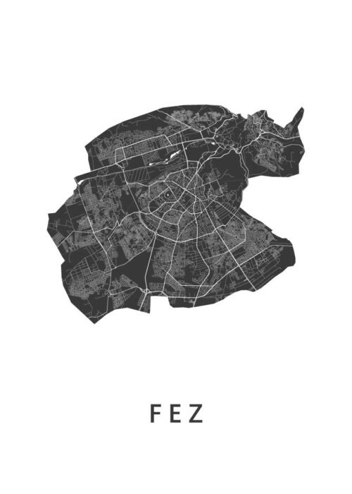 Fez Stadskaart Poster Kopen