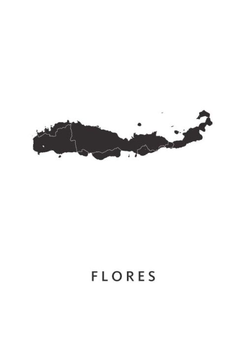 Flores (Indonesië) Eilandkaart