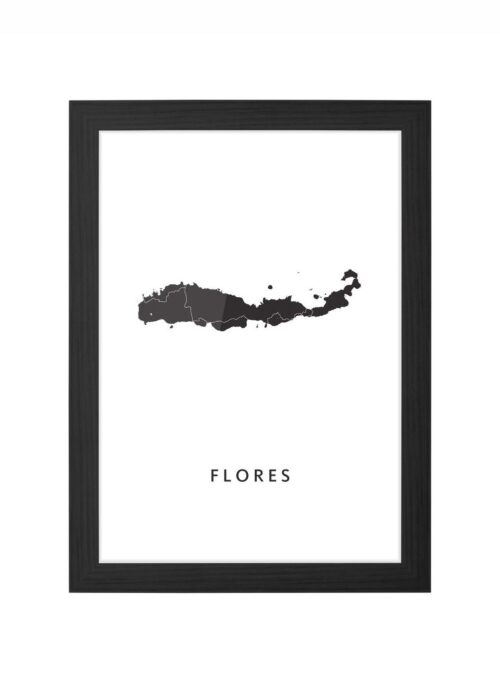 Flores Eiland kaart ingelijst in zwarte lijst