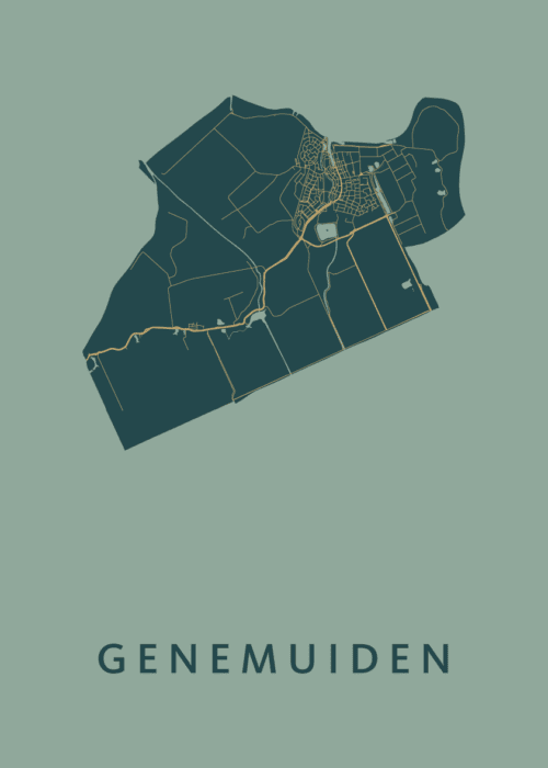 Genemuiden Amazon Stadskaart Poster Kopen