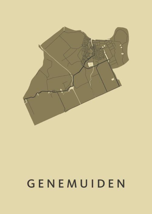 Genemuiden GoldenRod Stadskaart Poster Kopen