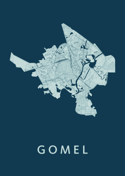 Gomel Feldgrau Stadskaart Poster Kopen