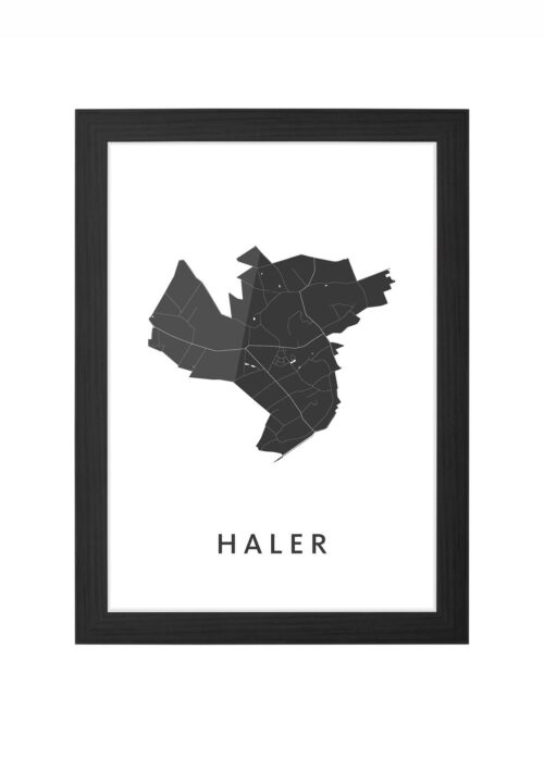 Haler Ingelijst in Zwart lijst Kopen | Kunst in Kaart