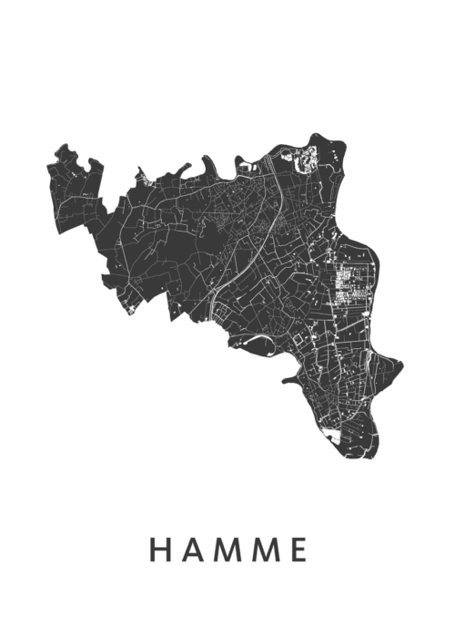 Hamme Stadskaart Poster Kopen