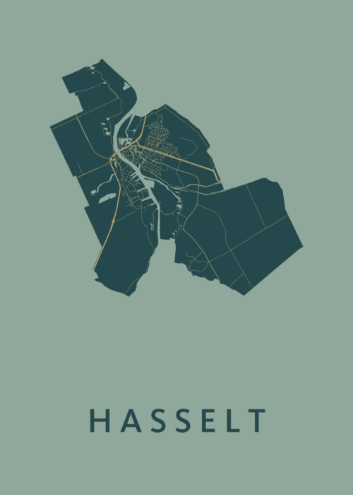 Hasselt Amazon Stadskaart Poster Kopen