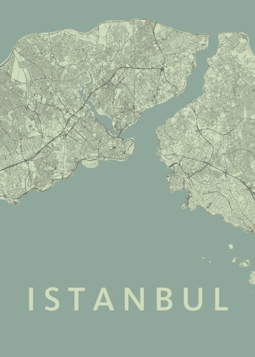 Istanbul Stadskaart - Olive poster