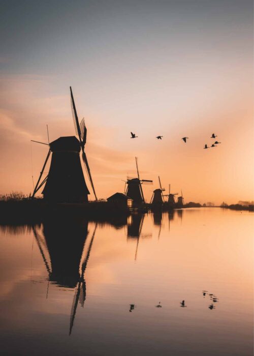 Molen - Kinderdijk — Fotografie Poster