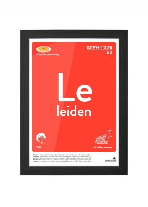 leiden typografie poster ingelijst in zwarte lijst