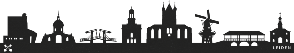Leiden zwarte skyline