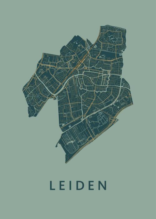 Leiden stadskaart poster Amazon