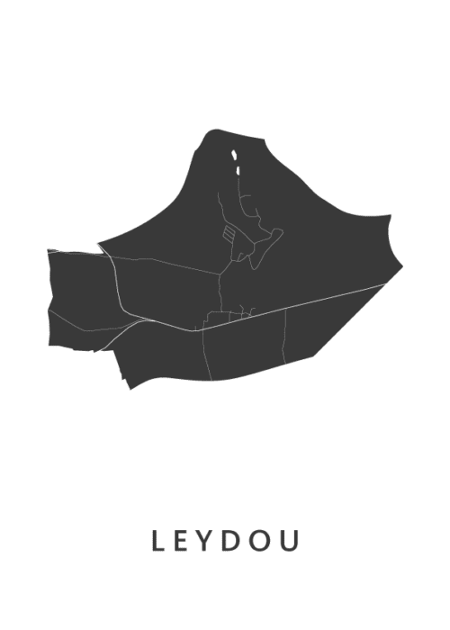 Leydou Stadskaart Poster Kopen