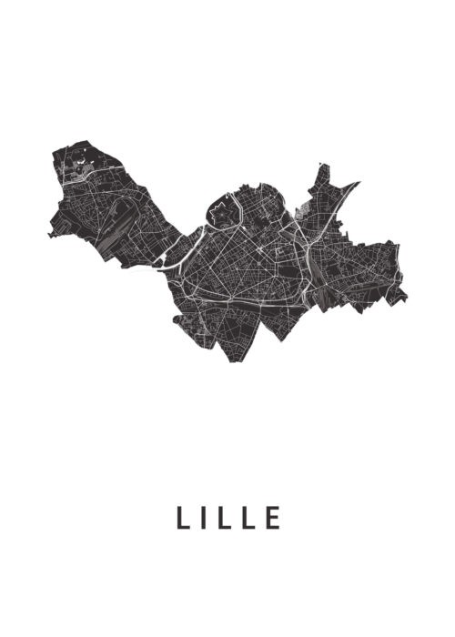 Lille (France) Stadskaart Poster Kopen