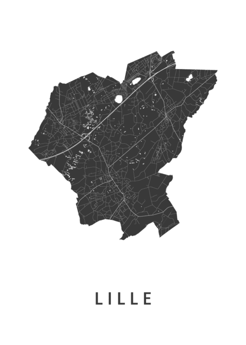 Lille (België) Stadskaart Poster Kopen