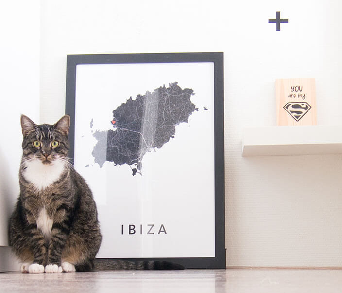 Littlesmall.nl Ibiza Huwelijksreis stadskaart poster