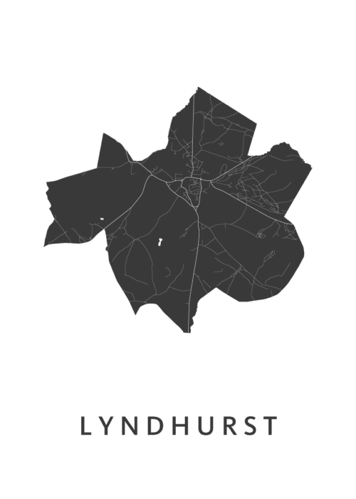 Lyndhurst Stadskaart Poster Kopen