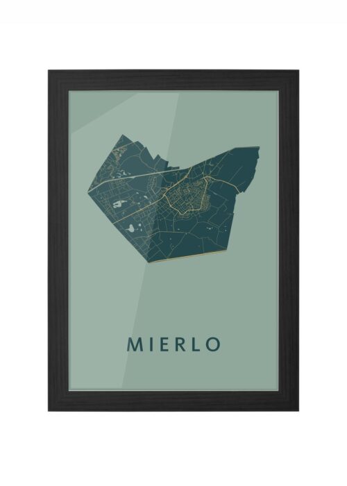 Mierlo Amazon Ingelijst in Zwart lijst Kopen | Kunst in Kaart