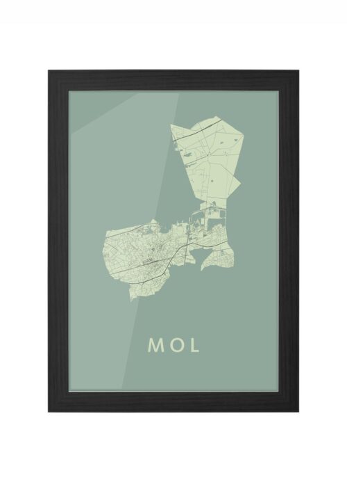 Mol Olive Ingelijst in Zwart lijst Kopen | Kunst in Kaart