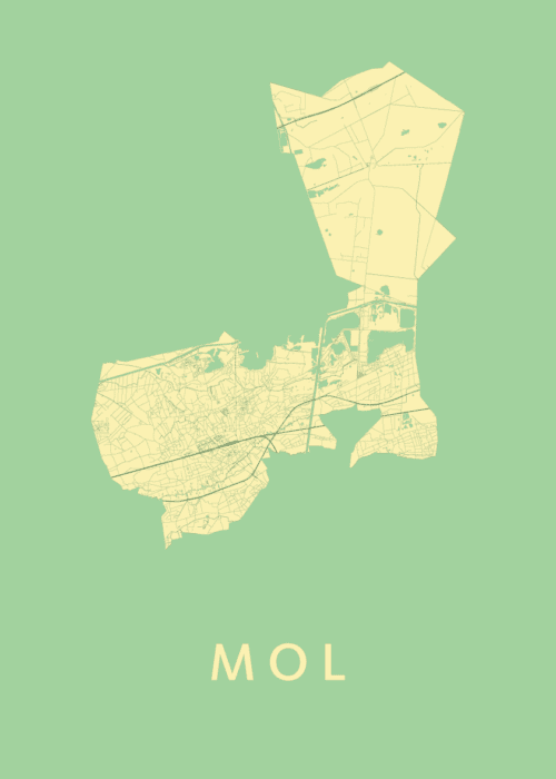 Mol Spring Stadskaart Poster Kopen