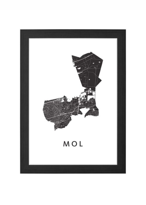 Mol White Ingelijst in Zwart lijst Kopen | Kunst in Kaart