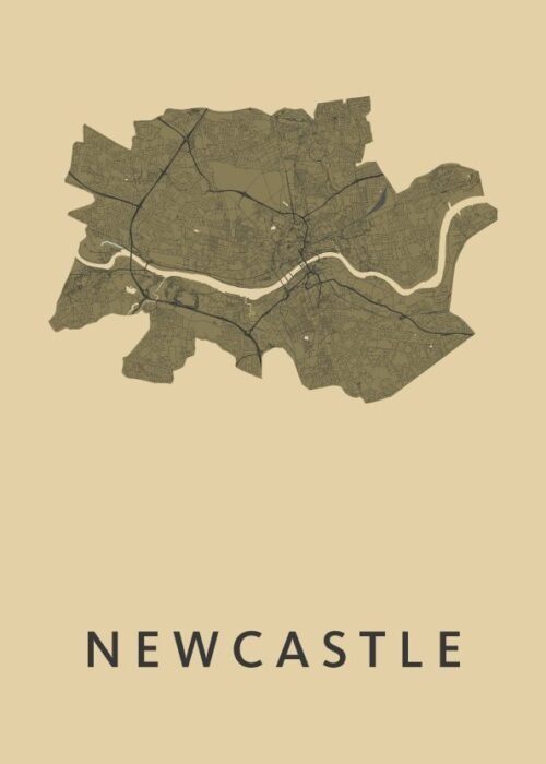 Newcastle GoldenRod Stadskaart Poster Kopen