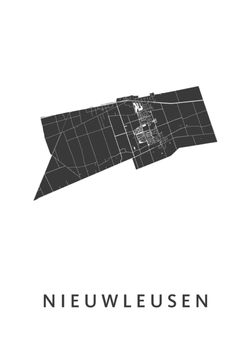 Nieuwleusen Stadskaart Poster Kopen