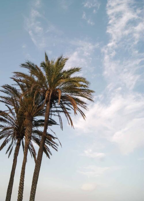 Summer vibes — Fotografie Poster