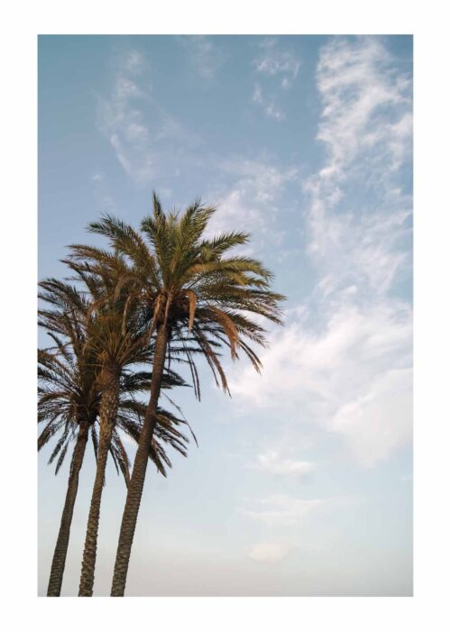 Summer vibes - Valencia Poster