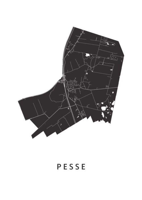 Pesse Stadskaart