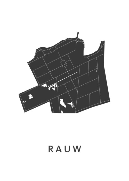 Rauw Stadskaart Poster Kopen