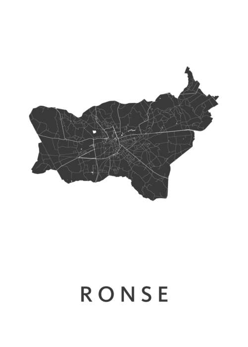 Ronse Stadskaart Poster Kopen