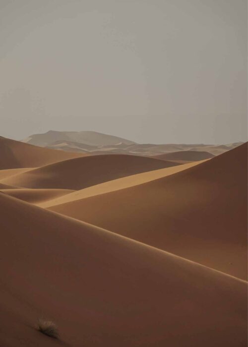 Sahara II — Fotografie Poster