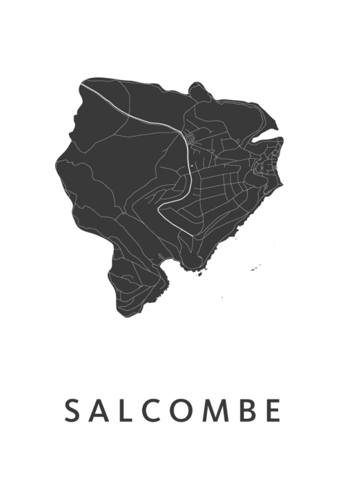 Salcombe Stadskaart Poster Kopen